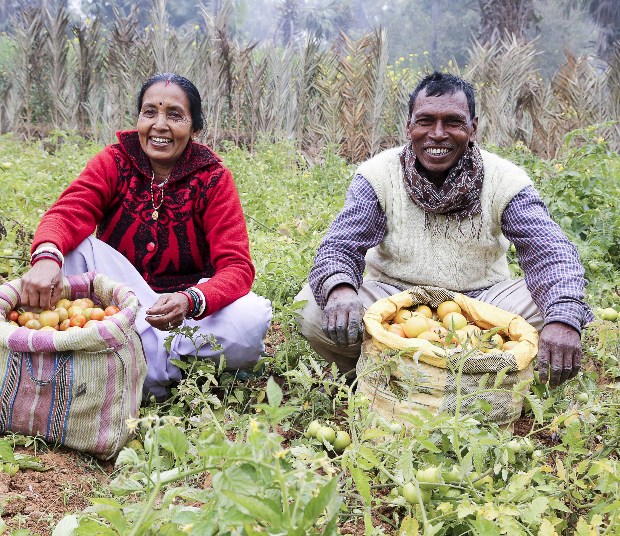 PRADAN: Empowering Rural Communities Towards Sustainable Change ...